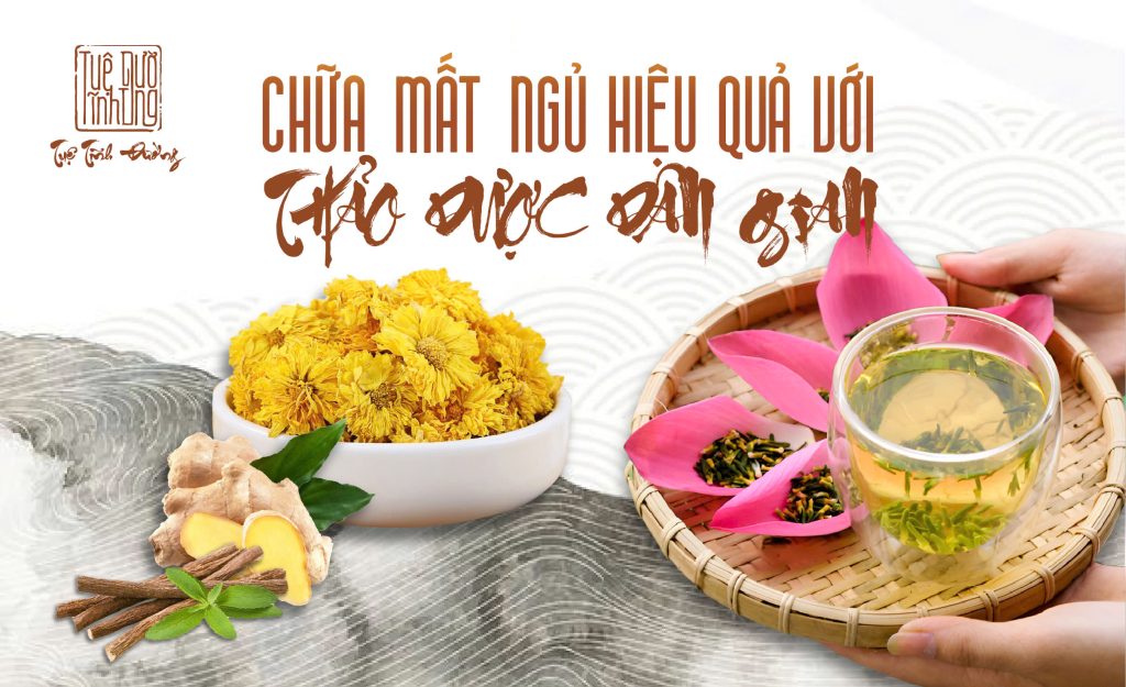Chữa mất ngủ hiệu quả với thảo dược dân gian 
