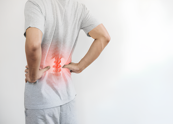 FTT-Dia-dem-la-gi-cau-tao-chuc-nang-va-vi-triFTT-Dia-dem-la-gi-cau-tao-chuc-nang-va-vi-tri