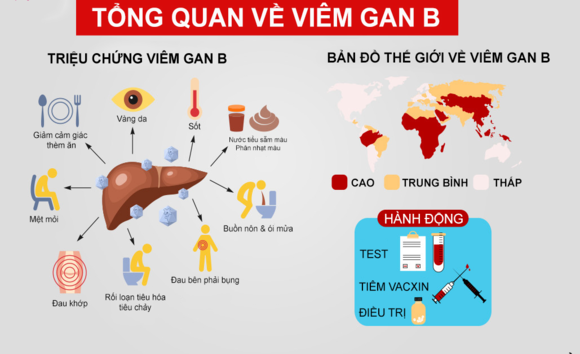 Viêm gan B là gì và những hiểu lầm thường gặp?