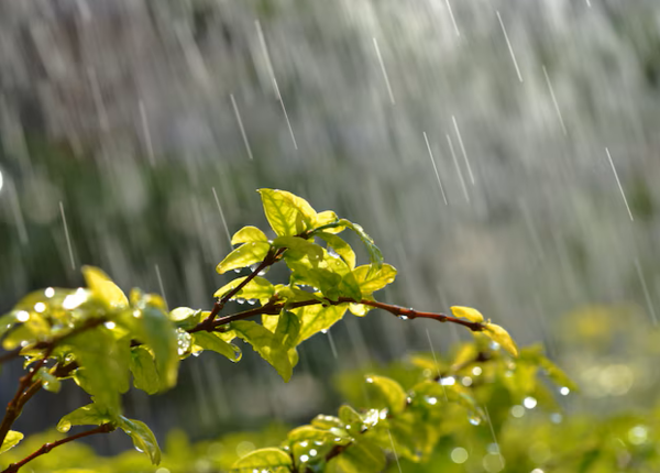 5-am-thanh-de-ngu-giup-thu-gian-tinh-than-moi-dem01