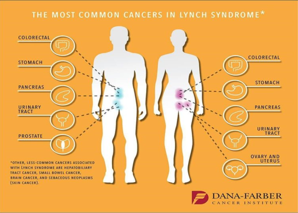 Hội chứng Lynch là gì? Nguyên nhân và dấu hiệu đặc trưng